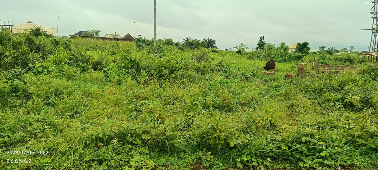 Land 2076sqm Available for sale in Ibusa, Delta State.